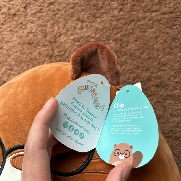 SQUISHMALLOW CHIP NEW WITH TAGS chipmunk pillow plushie cuddle cute glasses - Picture 5 of 5